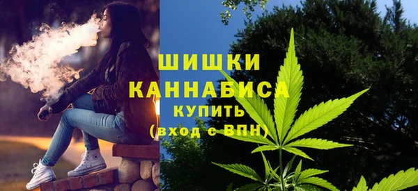 соль ск Заводоуковск