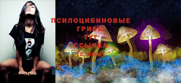 соль ск Заводоуковск
