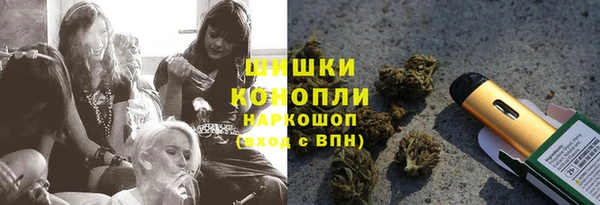 соль ск Заводоуковск