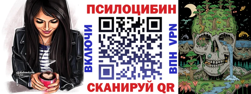 Купить закладки  Балашиха  Галлюциногенные грибы Psilocybine cubensis 
